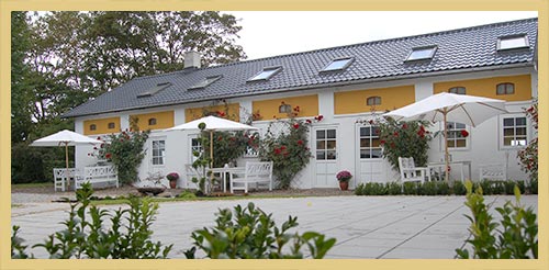 bed and breakfast nordjylland