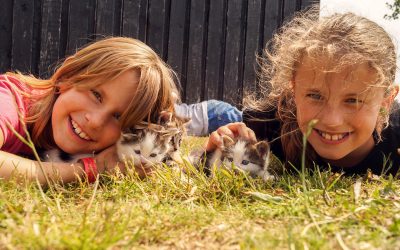 Sommeren buldrer frem til ny højsæson