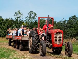 Traktortur. Mand kører traktor med mange mennesker.