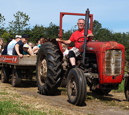 Traktortur, sommer, rød traktor