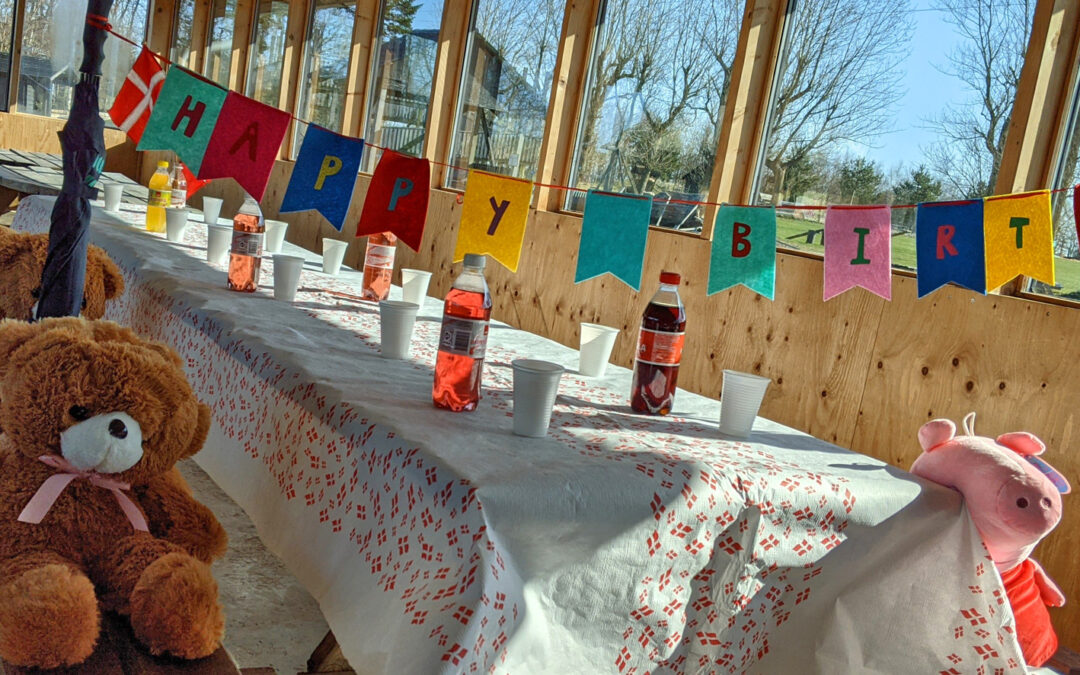 Børnefødselsdag Aalborg