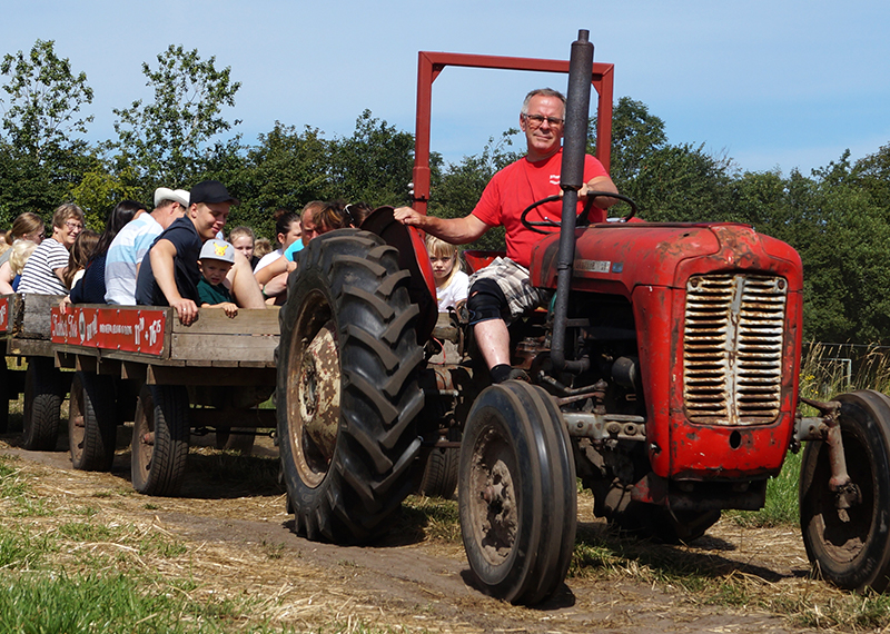 img_farmpark_traktor Traktortur. Mand kører traktor med mange mennesker.