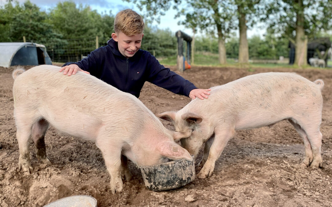 Oplevelser og Aktiviteter i Aalborg og Nordjylland for Familier