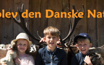 Naturoplevelser i Nordjylland for hele Familien