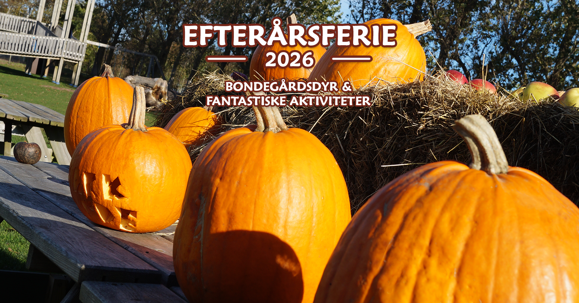 efterårsferie uge 42, efterårsferie med børn, familieaktiviteter efterårsferie, børneaktiviteter uge 42, hvad kan man lave i efterårsferien, oplevelser for hele familien uge 42, efterårshygge for familien, udendørs aktiviteter for børn efterår, naturaktiviteter i efterårsferien, skovtur med børn efterår, drageflyvning med børn, besøgsgård efterårsferie, efterårsjagt i naturen, aktiviteter i skoven uge 42, indendørs aktiviteter uge 42, kreative efterårsaktiviteter børn, græskarskæring skabeloner, ideer til kastanjedyr, krea med efterårsblade, hyggelige hjemmeaktiviteter børn efterår, oplevelser for børn i uge 42, museum for børn efterårsferie, forlystelsesparker efterårsferie, børnevenlige udflugtsmål uge 42, efterårsarrangementer, gårdens aktiviteter uge 42, gratis oplevelser i efterårsferien, billige aktiviteter med børn uge 42, aktiviteter for småbørn efterårsferie, efterårsferie for hele familien, ferie med børn i Danmark efterår.
